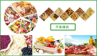 餐飲供應(yīng)鏈一體化服務(wù) 從農(nóng)場到餐桌，以佛山市好來客餐飲管理為例